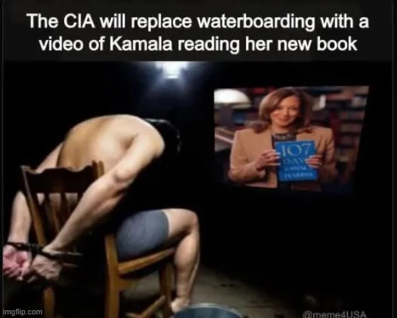 Over the Top TORTURE & Then Add in the CACKLING | image tagged in kamala harris,torture,waterboarding,cia,can't argue with that / technically not wrong,painful | made w/ Imgflip meme maker