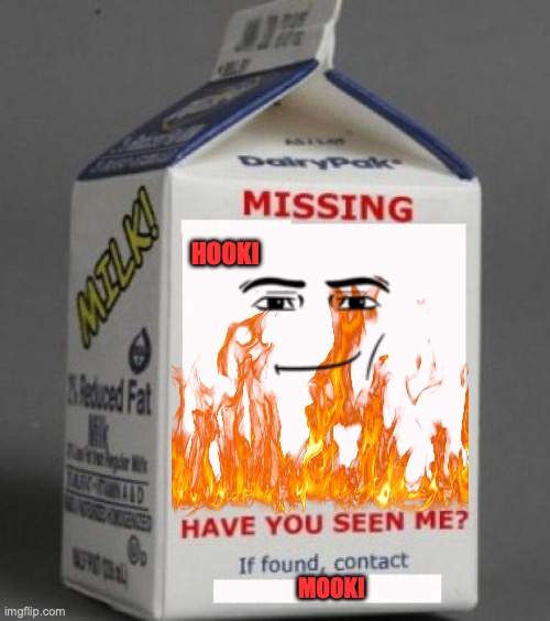 milk carton face | HOOKI; MOOKI | image tagged in milk carton | made w/ Imgflip meme maker