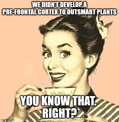 Retro woman drinking coffee | WE DIDN’T DEVELOP A PRE-FRONTAL CORTEX TO OUTSMART PLANTS; YOU KNOW THAT. 
RIGHT? | image tagged in retro woman drinking coffee | made w/ Imgflip meme maker