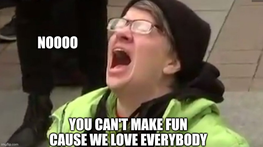 Screaming Liberal  | NOOOO YOU CAN'T MAKE FUN
CAUSE WE LOVE EVERYBODY | image tagged in screaming liberal | made w/ Imgflip meme maker