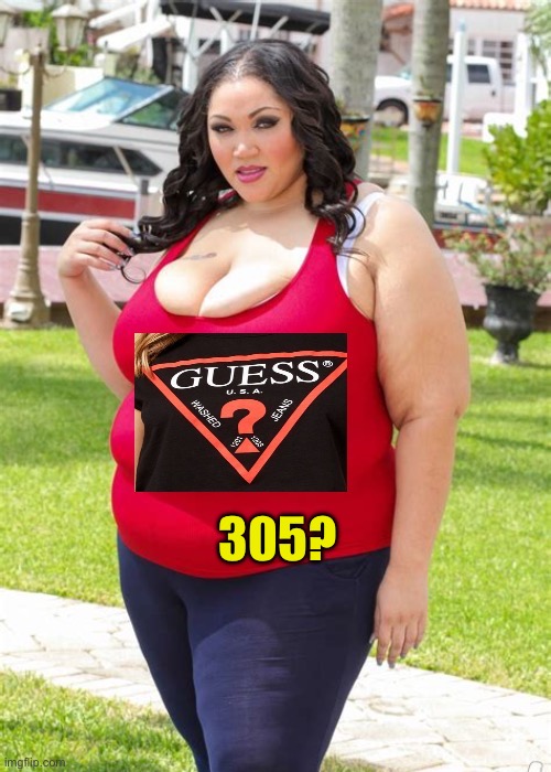 Guess? | 305? | image tagged in guess,funny,model,plus size,mirror | made w/ Imgflip meme maker