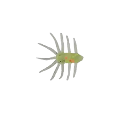 Entity or plant Meme Template