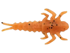 Humanoid Insect Meme Template