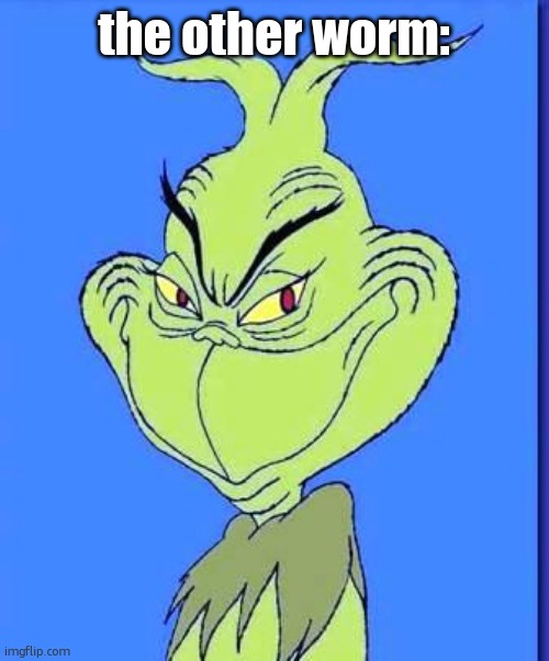 Good Grinch | the other worm: | image tagged in good grinch | made w/ Imgflip meme maker