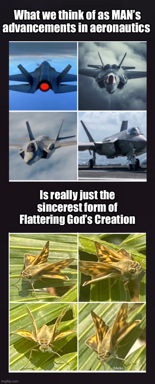 Don’t Flatter  Yourself… | What we think of as MAN’s
advancements in aeronautics; Is really just the
sincerest form of
Flattering God’s Creation; Marko | image tagged in memes,on a wing n a prayer,gods creation is amazing,such an imagination,evolution is a bogus anti god myth | made w/ Imgflip meme maker
