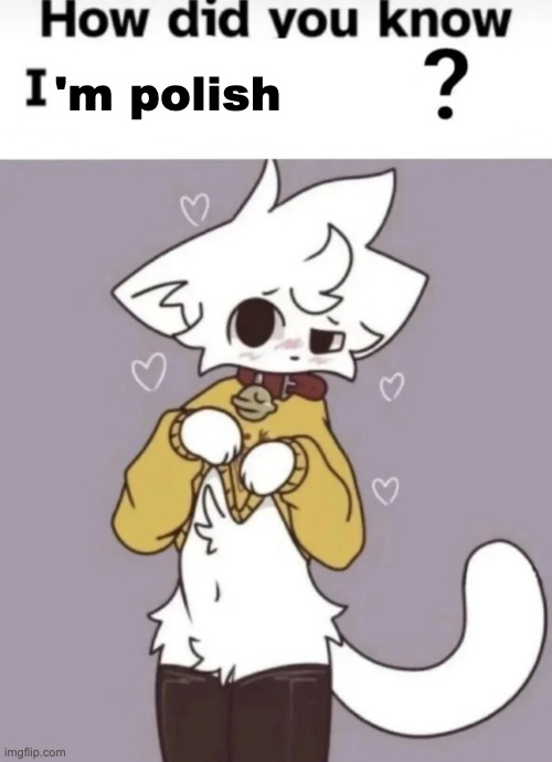 How did you know I play X? | 'm polish | image tagged in how did you know i play x | made w/ Imgflip meme maker
