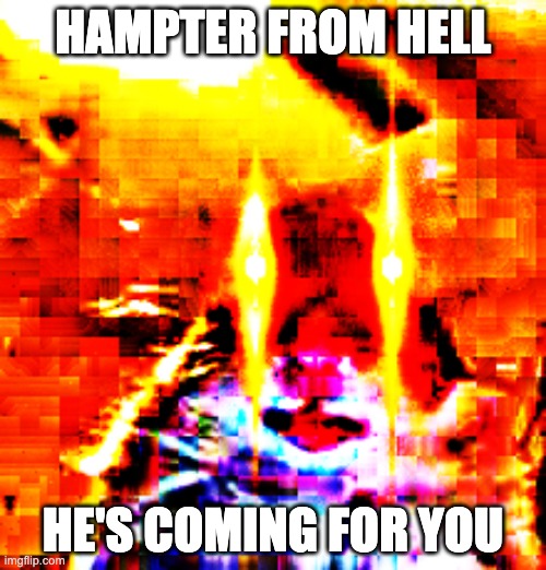 Hampter from hell | HAMPTER FROM HELL; HE'S COMING FOR YOU | image tagged in hampter,hamster,evil,hell,funny,funny meme | made w/ Imgflip meme maker