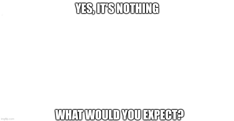 nothing | YES, IT'S NOTHING; WHAT WOULD YOU EXPECT? | image tagged in nothing | made w/ Imgflip meme maker