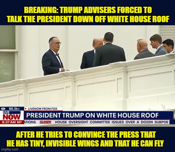 Trump has mid morning revelation | BREAKING: TRUMP ADVISERS FORCED TO TALK THE PRESIDENT DOWN OFF WHITE HOUSE ROOF; AFTER HE TRIES TO CONVINCE THE PRESS THAT HE HAS TINY, INVISIBLE WINGS AND THAT HE CAN FLY | image tagged in impeach trump,donald trump memes,government corruption,trump is a moron | made w/ Imgflip meme maker