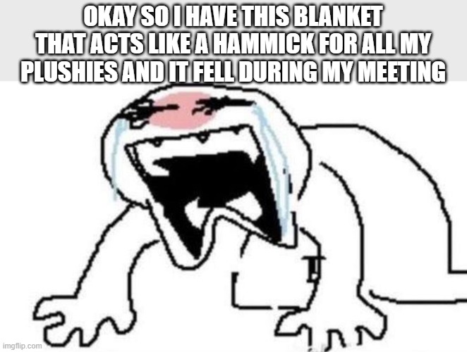 AUGH | OKAY SO I HAVE THIS BLANKET THAT ACTS LIKE A HAMMICK FOR ALL MY PLUSHIES AND IT FELL DURING MY MEETING | image tagged in ugly crying | made w/ Imgflip meme maker