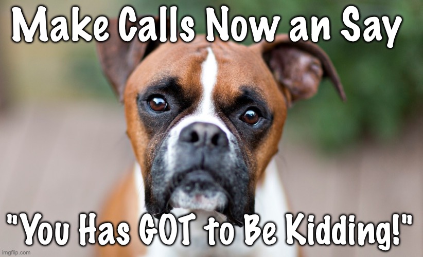 Boxer: You Kidding! | Make Calls Now an Say; "You Has GOT to Be Kidding!" | image tagged in boxer make calls,boxer you kidding | made w/ Imgflip meme maker