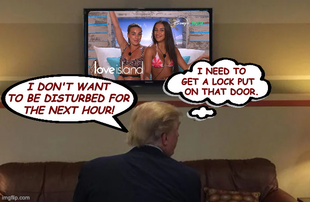 When you miss the good old days. | I NEED TO
GET A LOCK PUT 
 ON THAT DOOR. I DON'T WANT 
TO BE DISTURBED FOR
THE NEXT HOUR! | image tagged in memes,trump watching tv | made w/ Imgflip meme maker