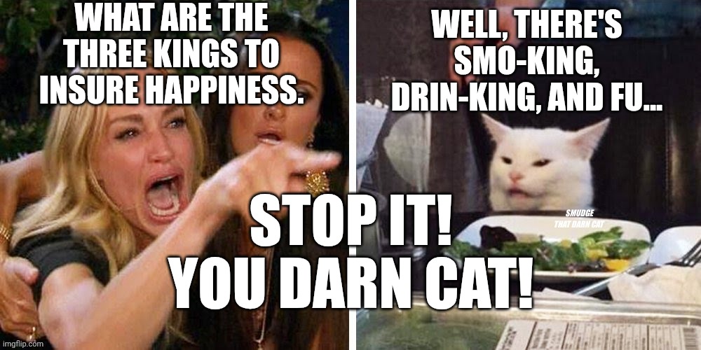 Smudge that darn cat with Karen | WHAT ARE THE THREE KINGS TO INSURE HAPPINESS. WELL, THERE'S SMO-KING, DRIN-KING, AND FU... STOP IT! YOU DARN CAT! | image tagged in smudge that darn cat with karen | made w/ Imgflip meme maker