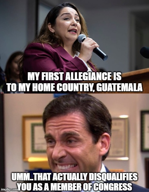 MY FIRST ALLEGIANCE IS TO MY HOME COUNTRY, GUATEMALA; UMM..THAT ACTUALLY DISQUALIFIES YOU AS A MEMBER OF CONGRESS | image tagged in congresswoman delia ramirez,cringe | made w/ Imgflip meme maker