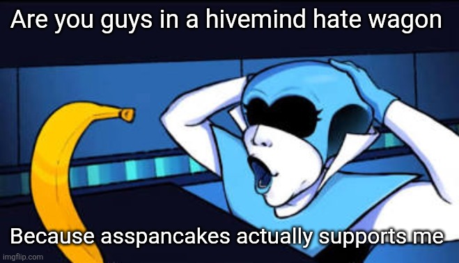 Nananab?!?!?! | Are you guys in a hivemind hate wagon; Because asspancakes actually supports me | image tagged in nananab | made w/ Imgflip meme maker