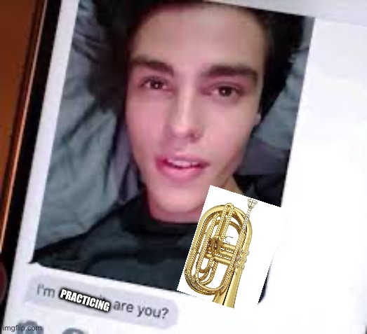 Jokes aside I love this year’s show | PRACTICING | image tagged in wawa | made w/ Imgflip meme maker
