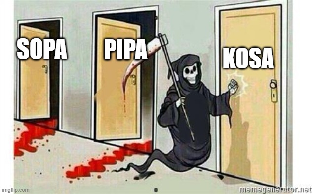 Grim Reaper Knocking Door | KOSA; PIPA; SOPA | image tagged in grim reaper knocking door | made w/ Imgflip meme maker