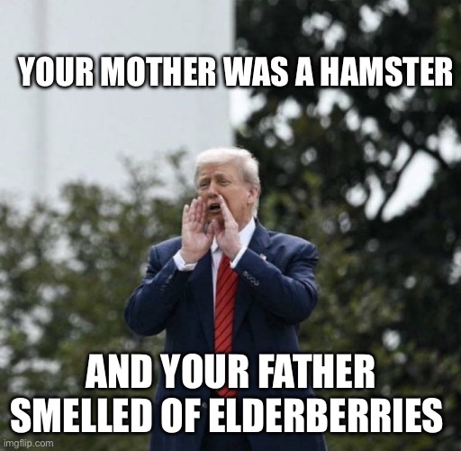 Monty Python and Trump | YOUR MOTHER WAS A HAMSTER; AND YOUR FATHER SMELLED OF ELDERBERRIES | image tagged in trump on the roof | made w/ Imgflip meme maker