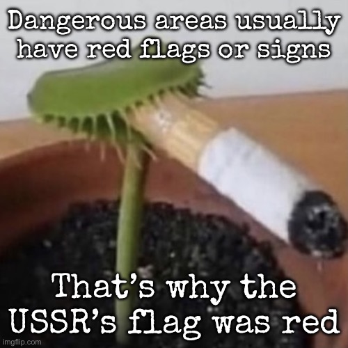 Unfunny joke but whatever | Dangerous areas usually have red flags or signs; That’s why the USSR’s flag was red | image tagged in plant weeds,msmg | made w/ Imgflip meme maker