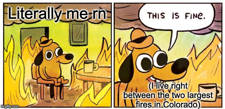 I am scrolling memes while the world as i know it burns to the ground. | Literally me rn; (I live right between the two largest fires in Colorado) | image tagged in memes,this is fine | made w/ Imgflip meme maker