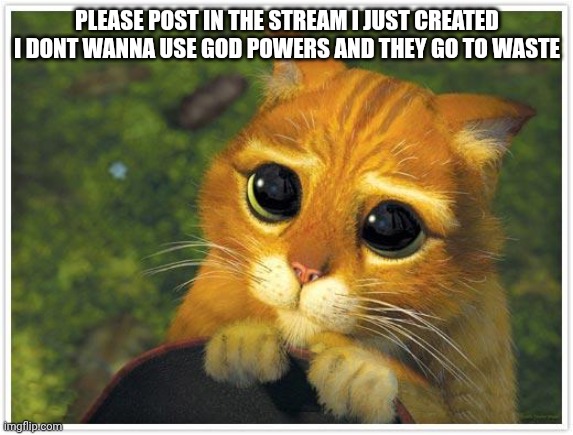 PLLLSSSSSSS | PLEASE POST IN THE STREAM I JUST CREATED I DONT WANNA USE GOD POWERS AND THEY GO TO WASTE | image tagged in memes,shrek cat | made w/ Imgflip meme maker