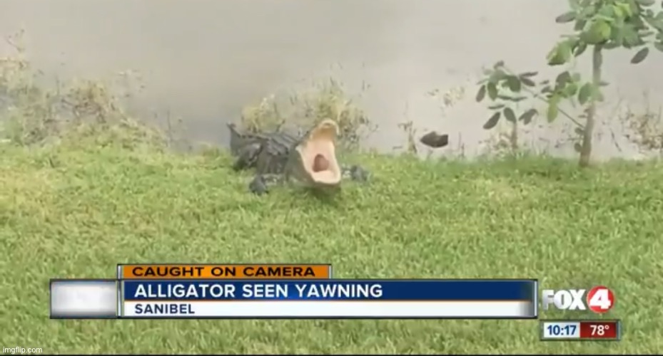 Now this is journalism | made w/ Imgflip meme maker