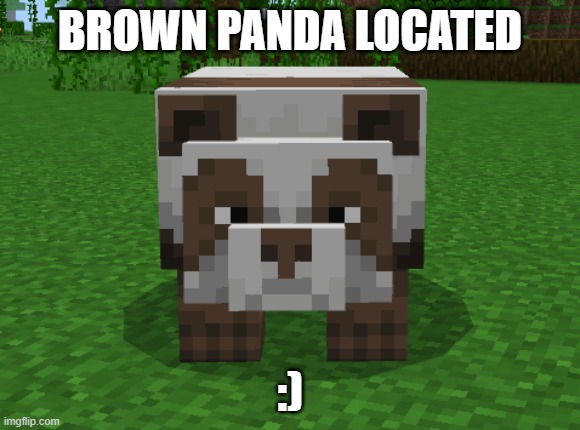 pampam | BROWN PANDA LOCATED; :) | image tagged in minecraft | made w/ Imgflip meme maker