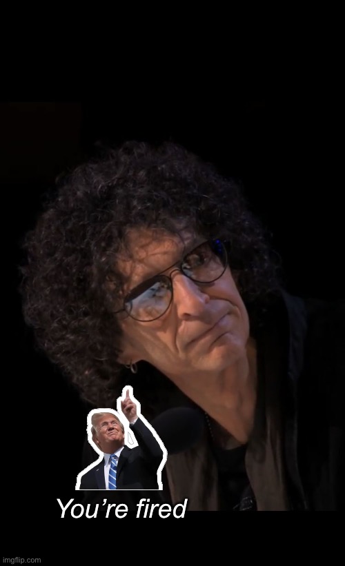 Dudes show really sucked | You’re fired | image tagged in howard stern dissapointed face,politics lol,memes | made w/ Imgflip meme maker