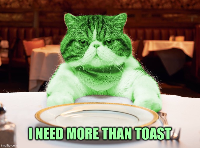 RayCat Hungry | I NEED MORE THAN TOAST | image tagged in raycat hungry | made w/ Imgflip meme maker