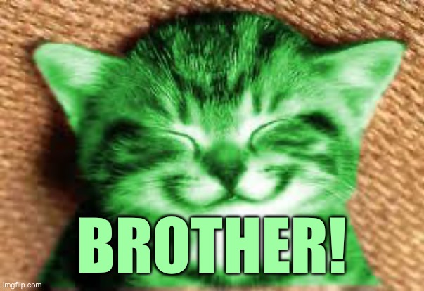 happy RayCat | BROTHER! | image tagged in happy raycat | made w/ Imgflip meme maker