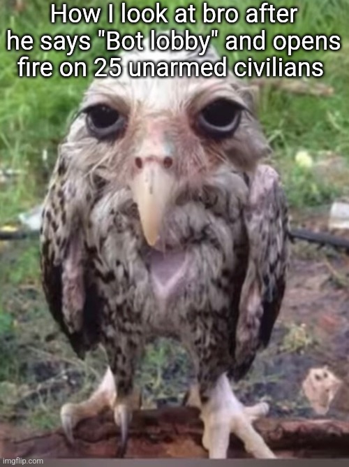 How I look at bro after he says "Bot lobby" and opens fire on 25 unarmed civilians | image tagged in ww3 | made w/ Imgflip meme maker