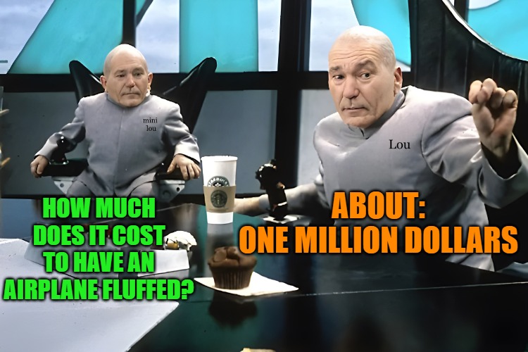 lou and mini lou | HOW MUCH DOES IT COST TO HAVE AN AIRPLANE FLUFFED? ABOUT:
ONE MILLION DOLLARS | image tagged in lou and mini lou | made w/ Imgflip meme maker