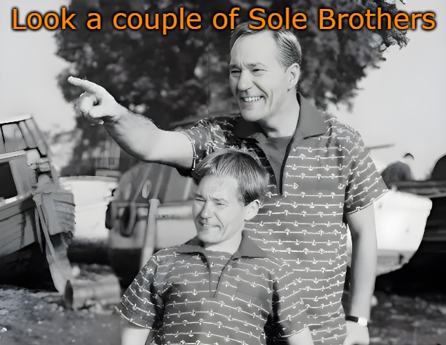 look | Look a couple of Sole Brothers | image tagged in look | made w/ Imgflip meme maker