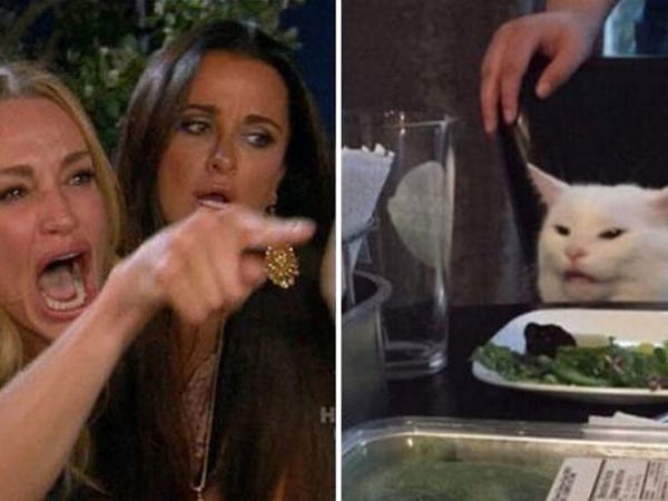 Evil White Cat Blank Meme Template