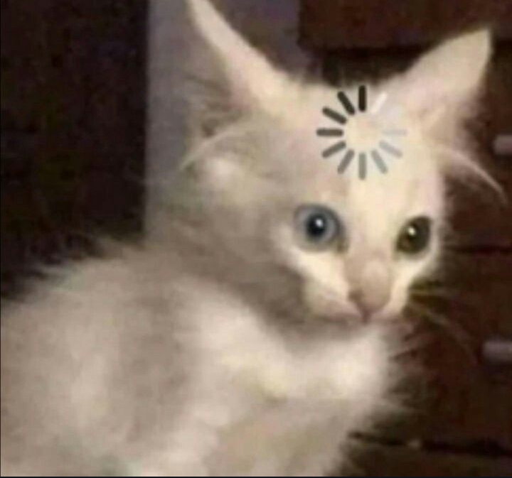 Cat buffer Blank Meme Template