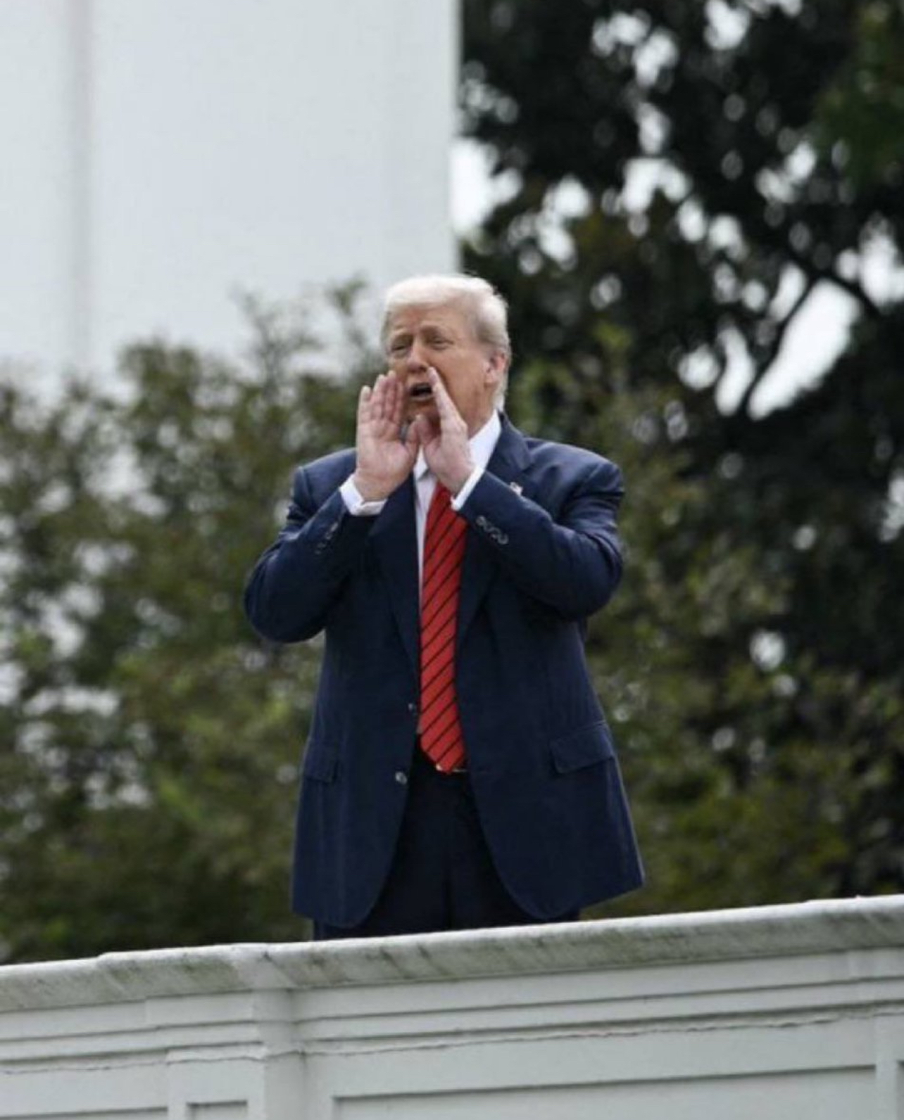 Trump yell Blank Meme Template
