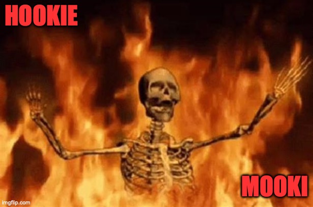 It burns it burns! | HOOKIE; MOOKI | image tagged in burning skeleton | made w/ Imgflip meme maker