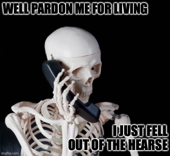 pardon me for living! | WELL PARDON ME FOR LIVING; I JUST FELL OUT OF THE HEARSE | image tagged in skeleton phone | made w/ Imgflip meme maker