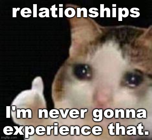 Approved crying cat | relationships; I'm never gonna experience that. | image tagged in approved crying cat | made w/ Imgflip meme maker