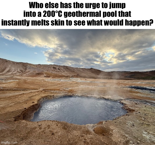 Who else has the urge to jump into a 200°C geothermal pool that instantly melts skin to see what would happen? | made w/ Imgflip meme maker