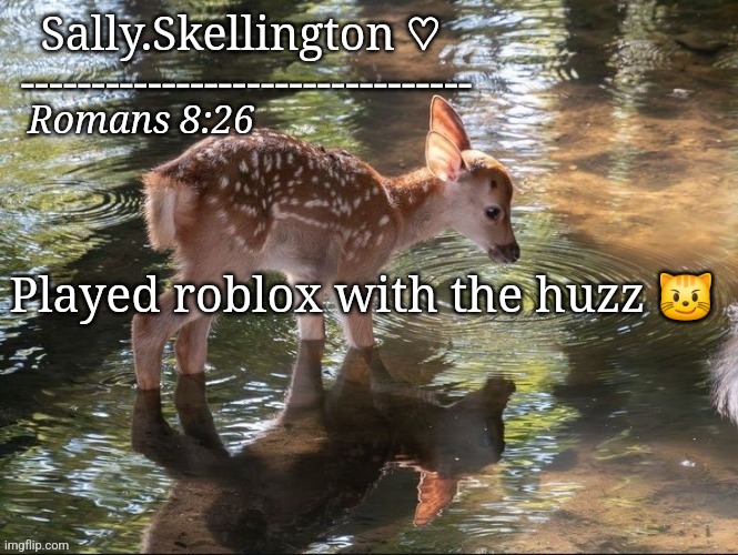 Sally's temp | Played roblox with the huzz 😼 | image tagged in sally's temp | made w/ Imgflip meme maker