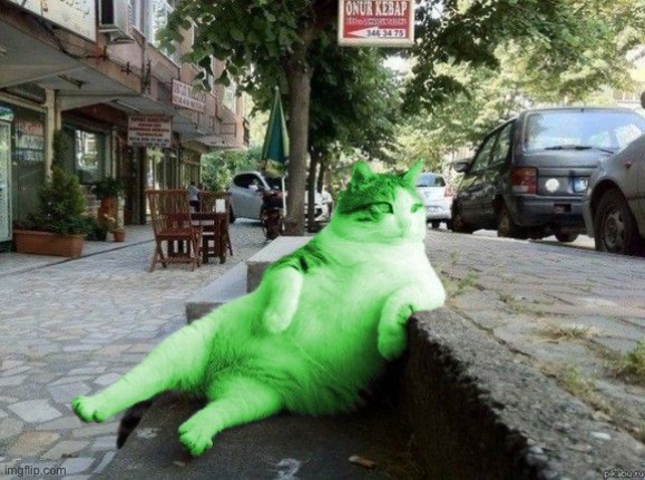 RayCat relaxing | image tagged in raycat relaxing | made w/ Imgflip meme maker
