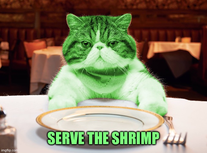RayCat Hungry | SERVE THE SHRIMP | image tagged in raycat hungry | made w/ Imgflip meme maker