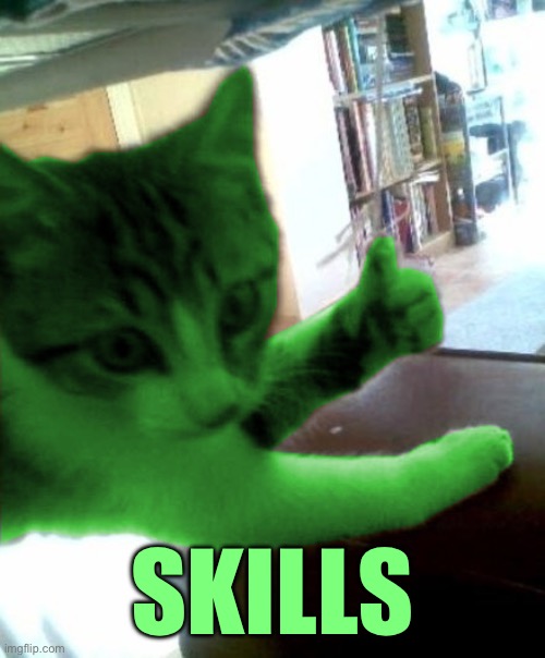 thumbs up RayCat | SKILLS | image tagged in thumbs up raycat | made w/ Imgflip meme maker