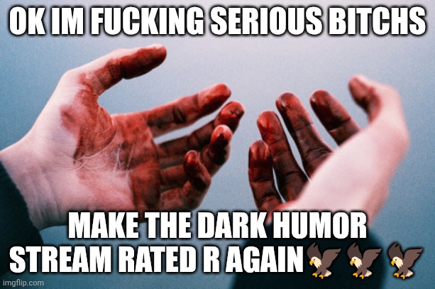Bloody hands | OK IM FUCKING SERIOUS BITCHS; MAKE THE DARK HUMOR STREAM RATED R AGAIN🦅🦅🦅 | image tagged in bloody hands | made w/ Imgflip meme maker