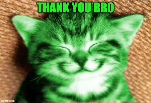 happy RayCat | THANK YOU BRO | image tagged in happy raycat | made w/ Imgflip meme maker