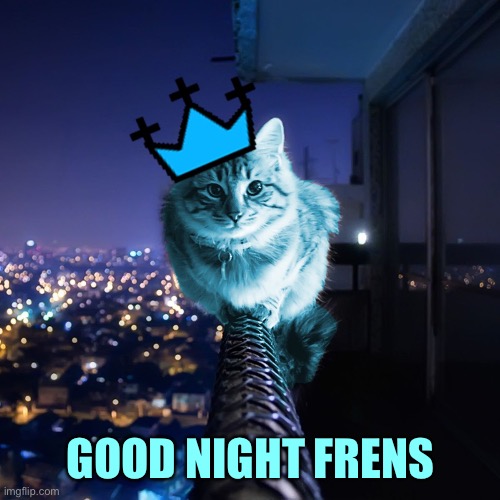 RayCat Wears The Crown | GOOD NIGHT FRENS | image tagged in raycat wears the crown | made w/ Imgflip meme maker