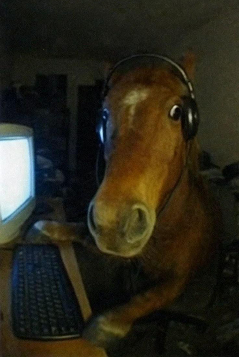 Horse on computer Blank Meme Template