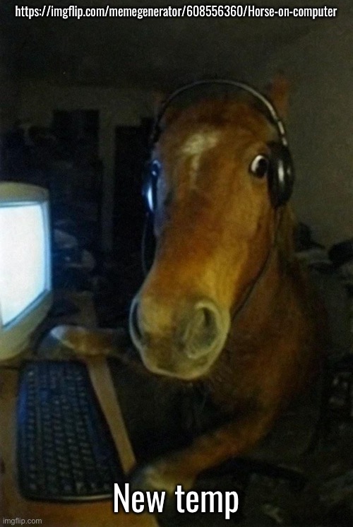Horse on computer | https://imgflip.com/memegenerator/608556360/Horse-on-computer; New temp | image tagged in horse on computer | made w/ Imgflip meme maker