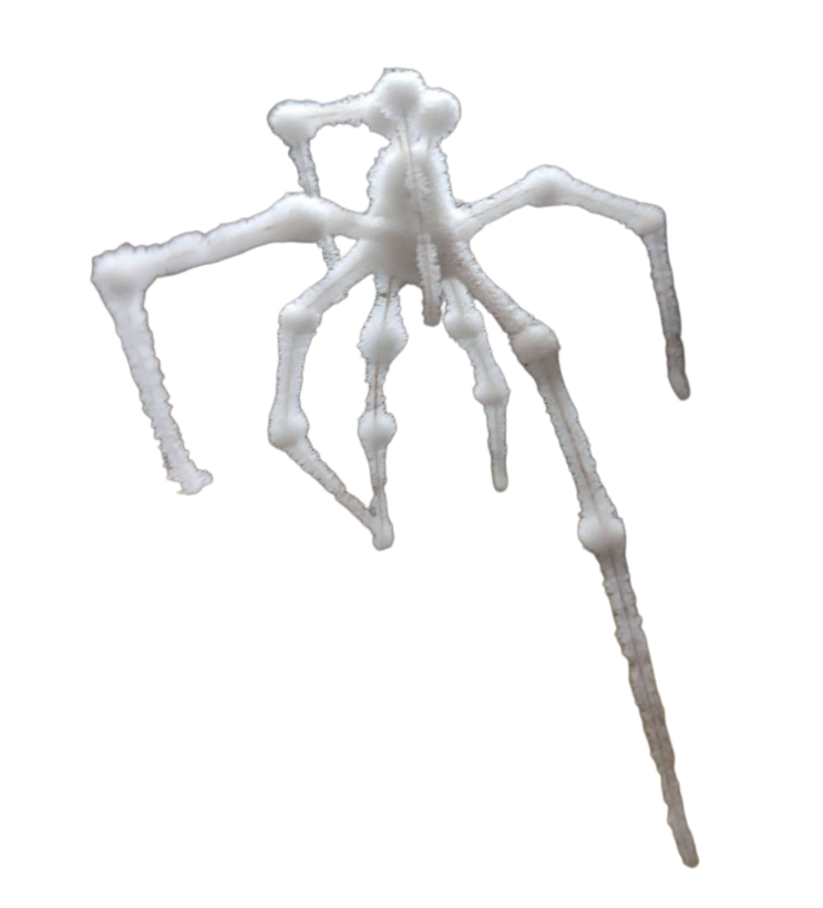 White spider 3 Blank Meme Template